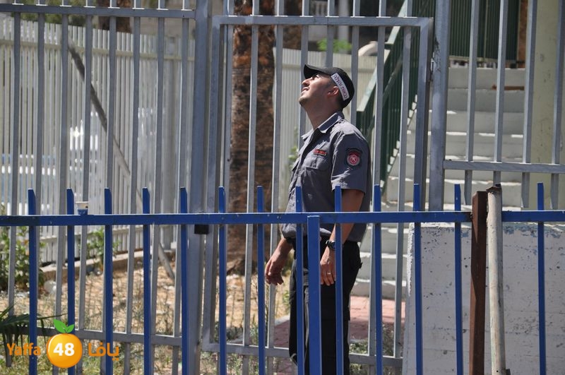 cat lud 910 (19).JPG